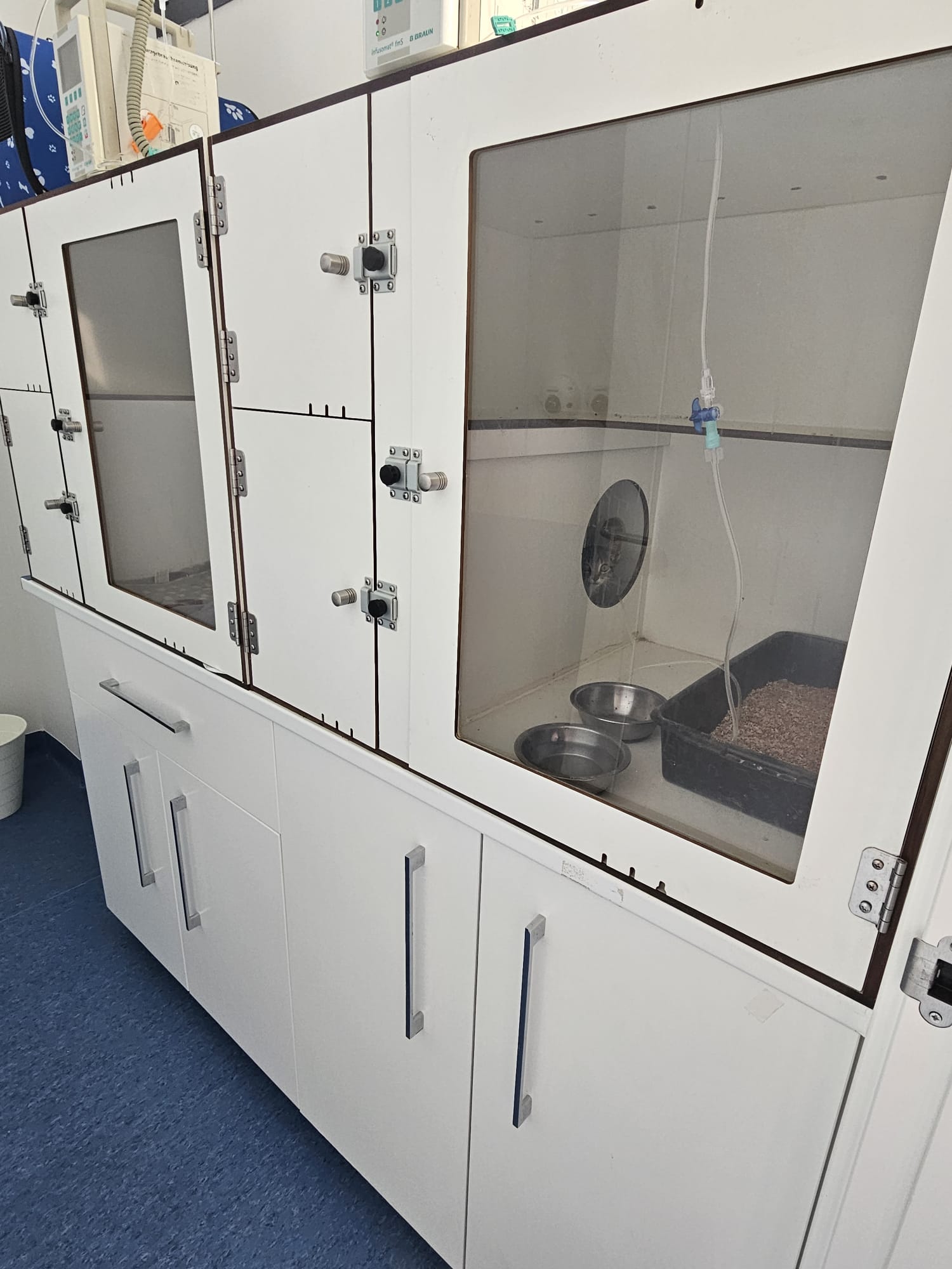 Imagen de WhatsApp 2025-07-23 a las 19.17.26_ae6893a6